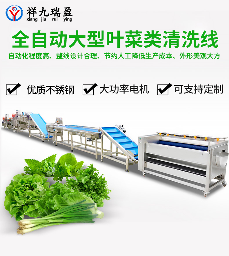 大型葉菜類清洗線生產(chǎn)流程與配套設(shè)備，你知道有多少？