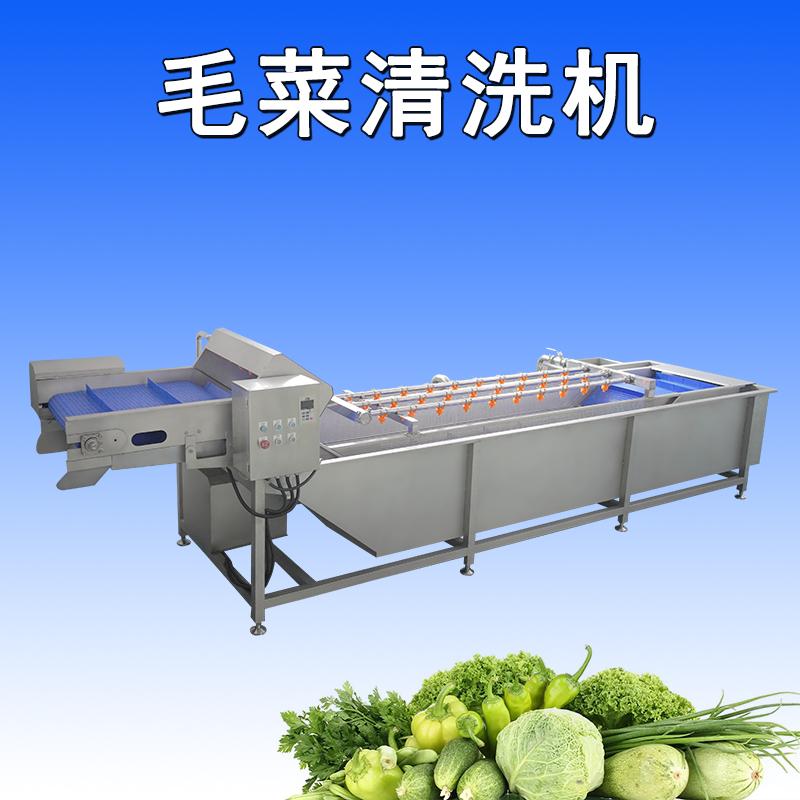 大型葉菜清洗機(jī)可將葉菜表面的污垢、沙粒和雜質(zhì)徹底清除